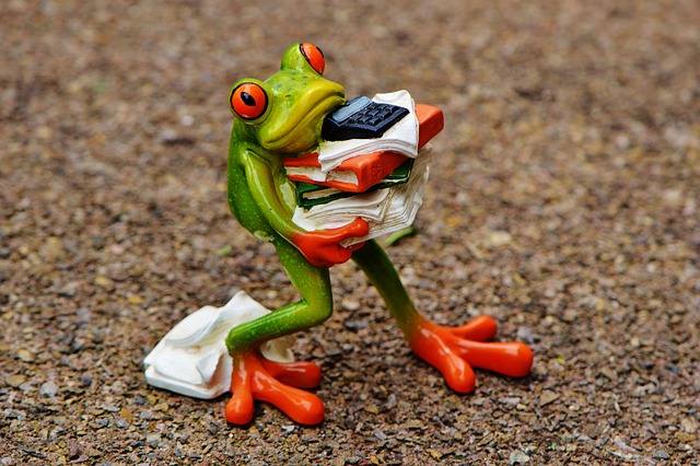 Frosch trägt Aktenberge und Taschenrechner vor lauter Stress