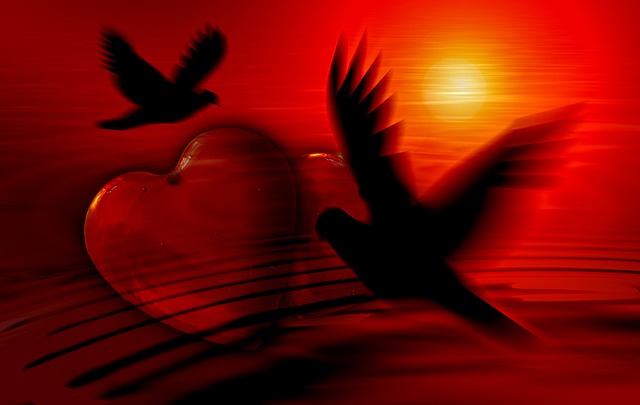 zwei Vögel fliegen im Sonnenuntergang um ein Herz