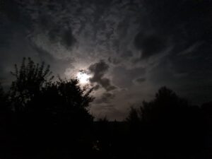 Der Mond und die Finsternis und Schattenwelt der Nacht in meinem Garten