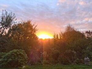 Sonnenaufgang in meinem Garten